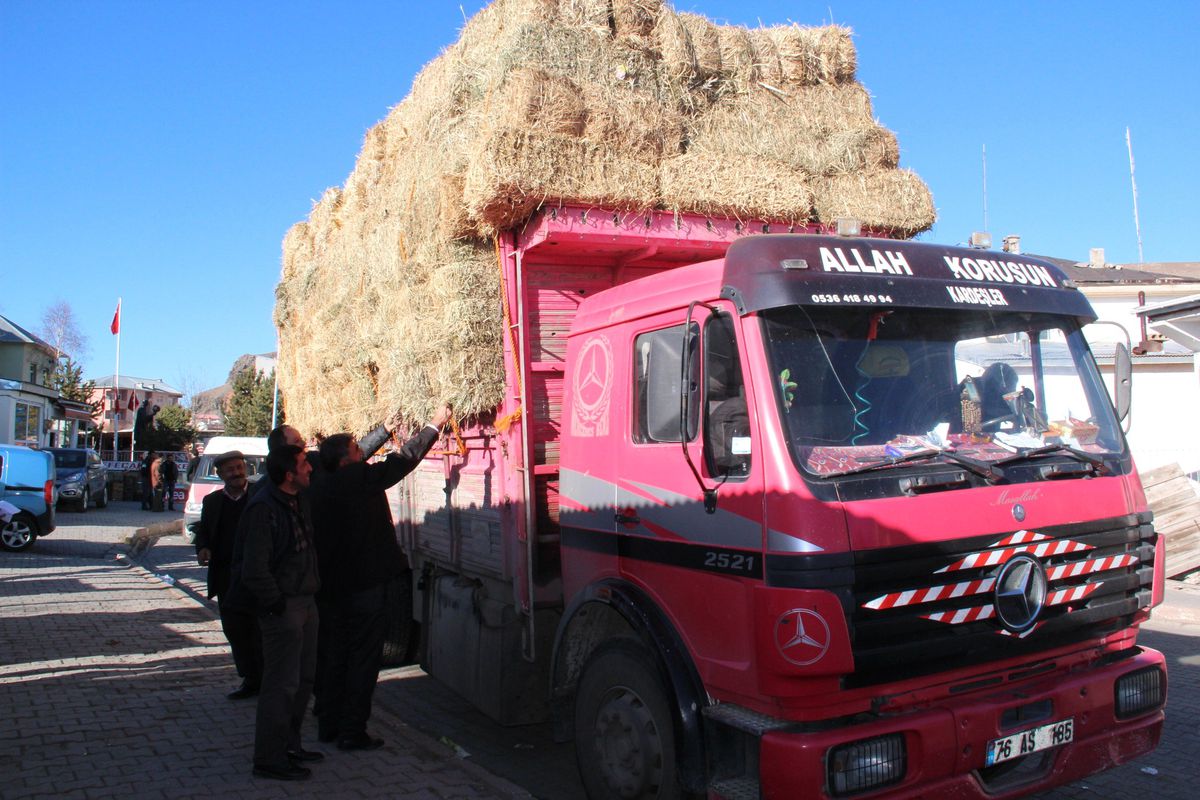 Saman Fiyatları Çiftçiyi Zora Soktu