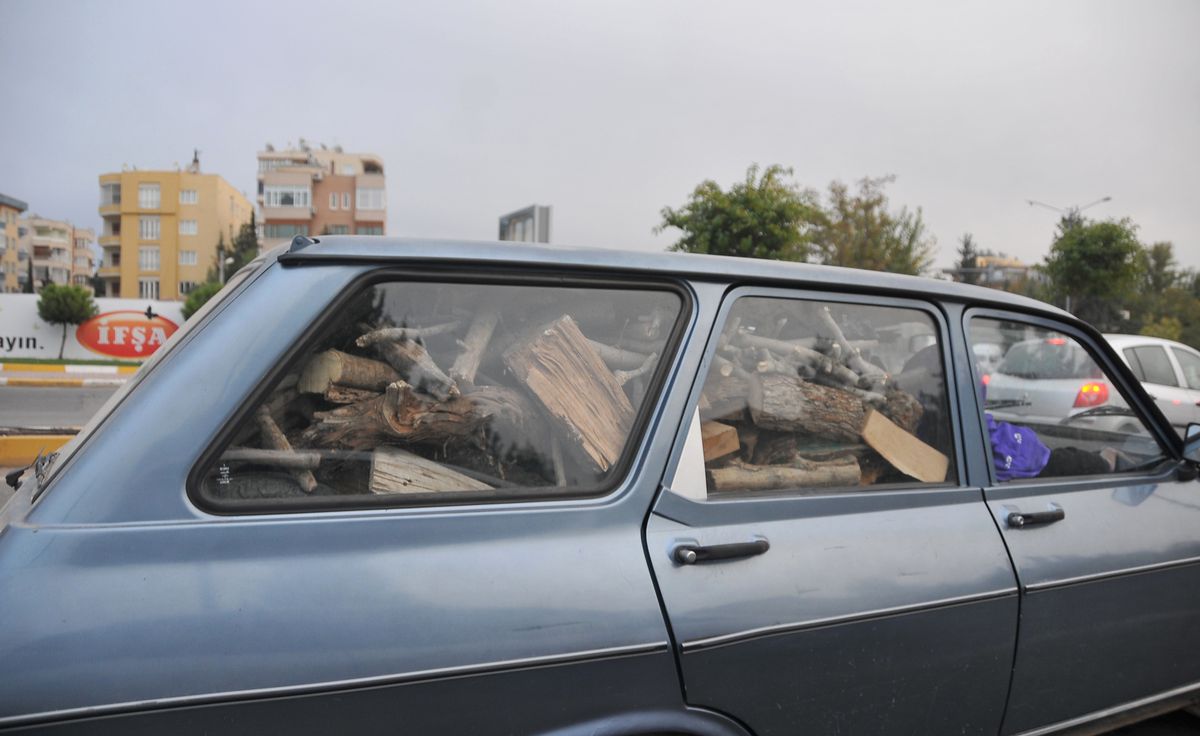 Çocuk ve Odun Aynı Otomobilde