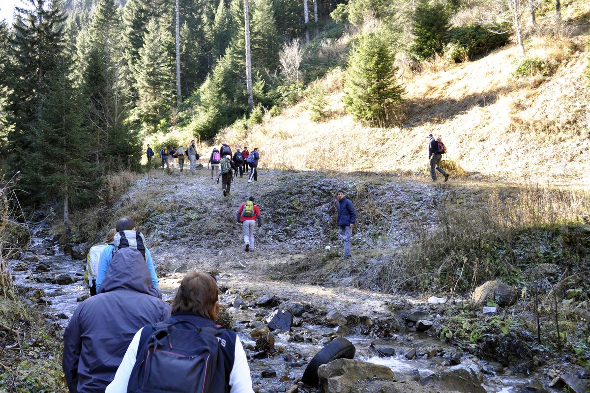 Gümüşhane ve Trabzonlu Dağcılar Ortak Yürüyüş Düzenledi