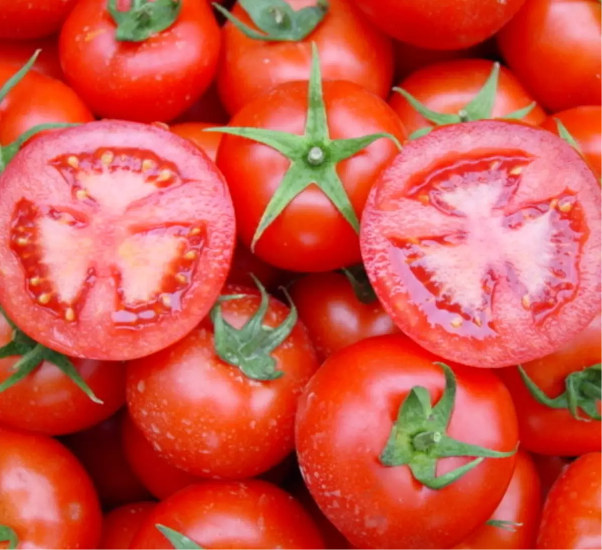 Kocaeli'de Sebze ve Meyve Fiyatları