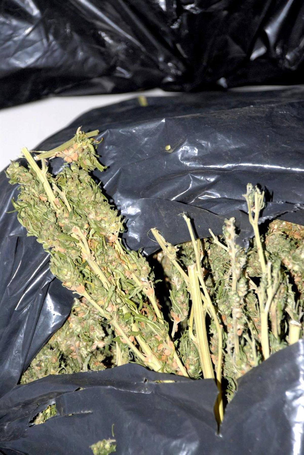 Siverek\'te 159 Kilo 50 Gram Esrar Maddesi Ele Geçirildi