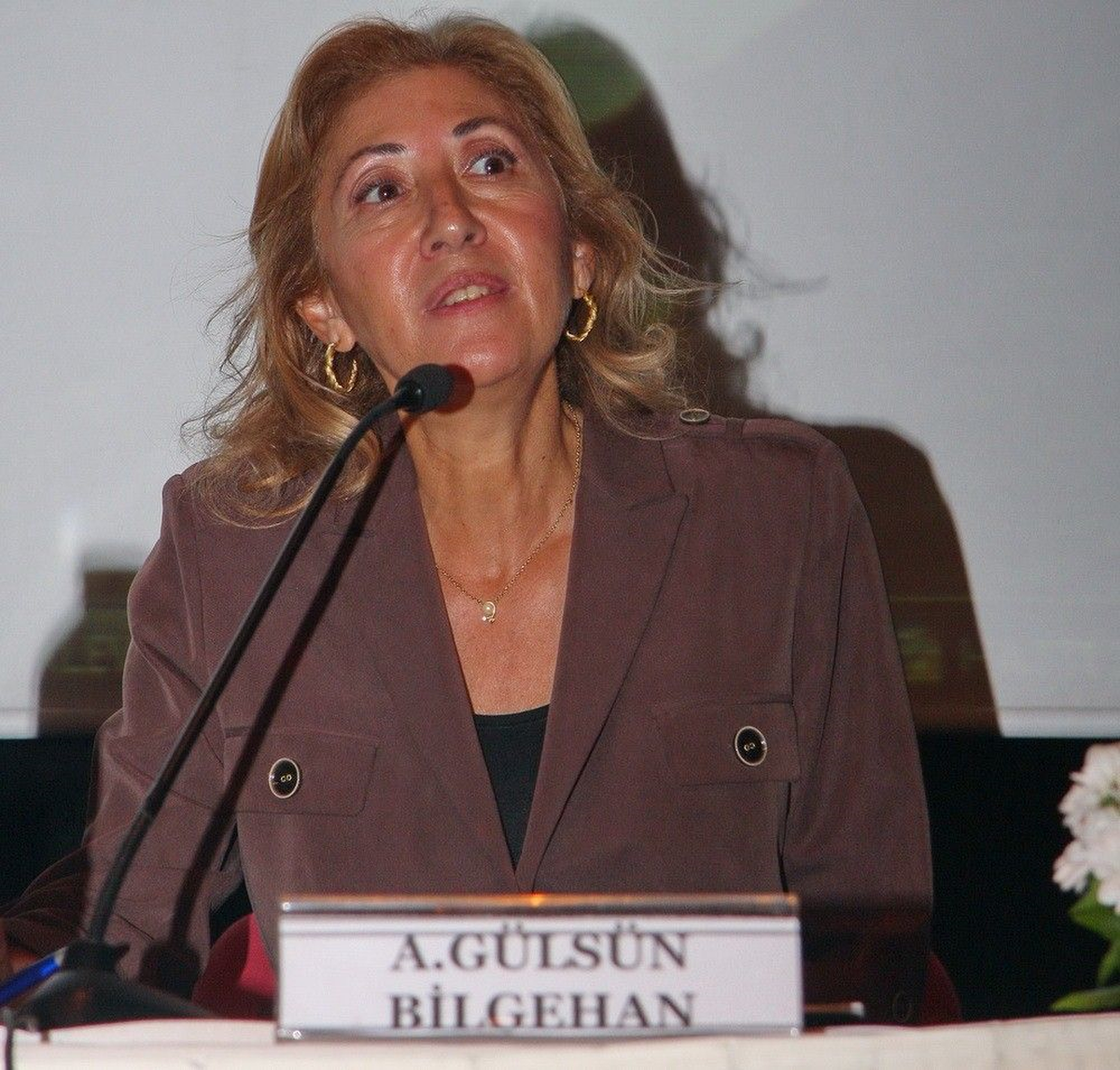 Chp\'li Bilgehan Çocuk Gelinleri Meclis Gündemine Taşıdı