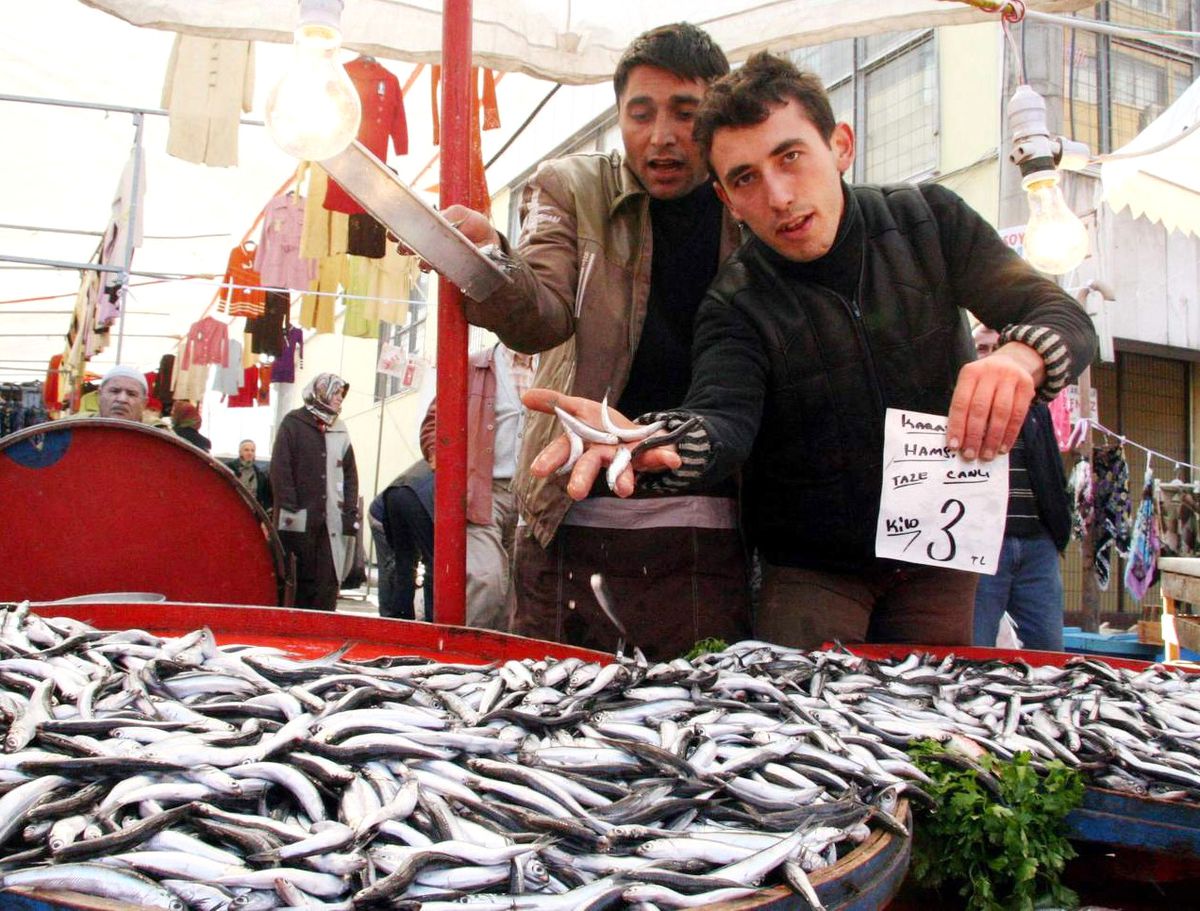 Denizdeki Bereket Hamsiyi 3 TL'ye Kadar Düşürdü