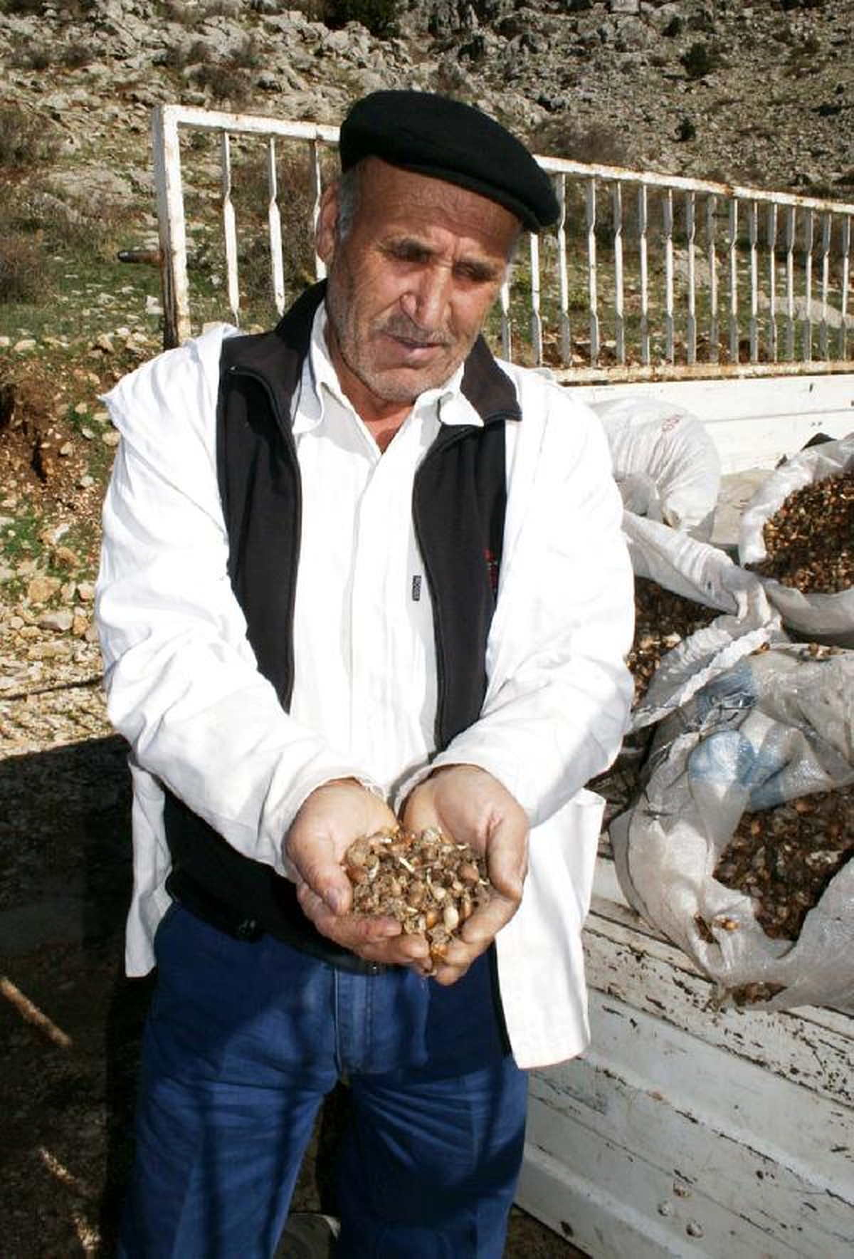 Kardelenler Toprakla Buluştu