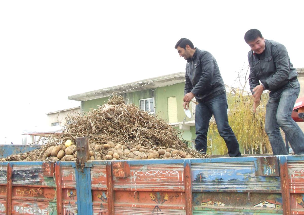 Niğdeli Üretici, Patateslerini Kasaba Meydanında Yaktı