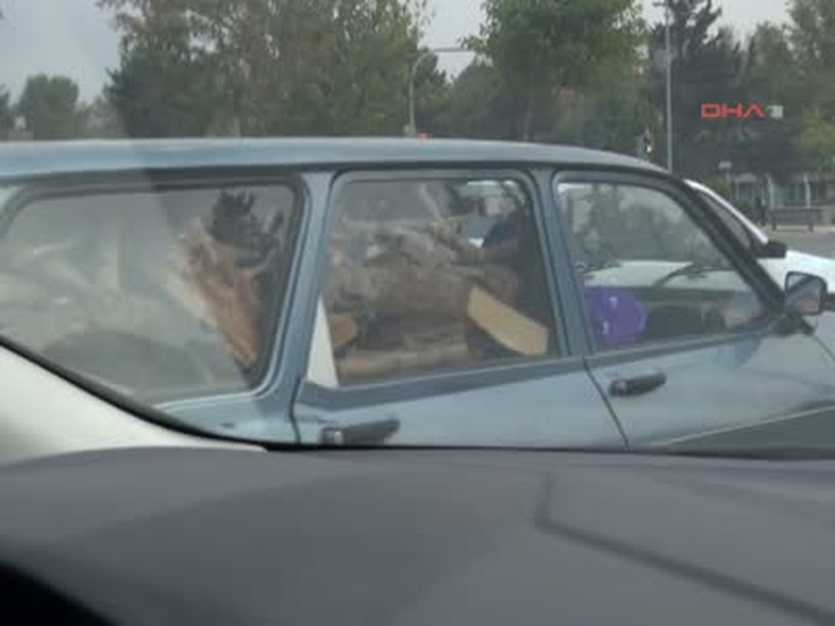 Odun Yüklü Otomobille Yolculuk