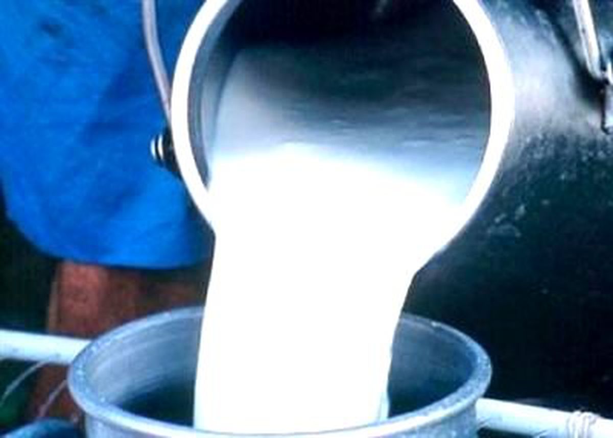 Sütten Alkol Çıkardı