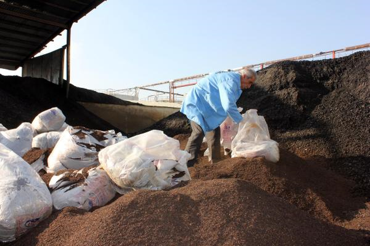 8,5 Ton Kaçak Çay İmha Edildi