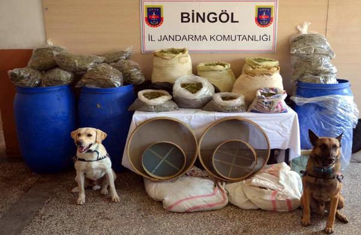 Bingöl\'de 193 Kilo Esrar Ele Geçirildi