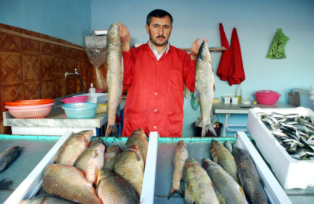 Kahta\'da Balık Kültürü Gelişiyor