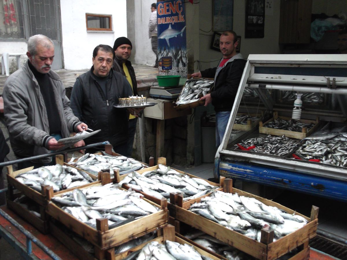 Lüfer Bolluğu Vatandaşa Yaradı