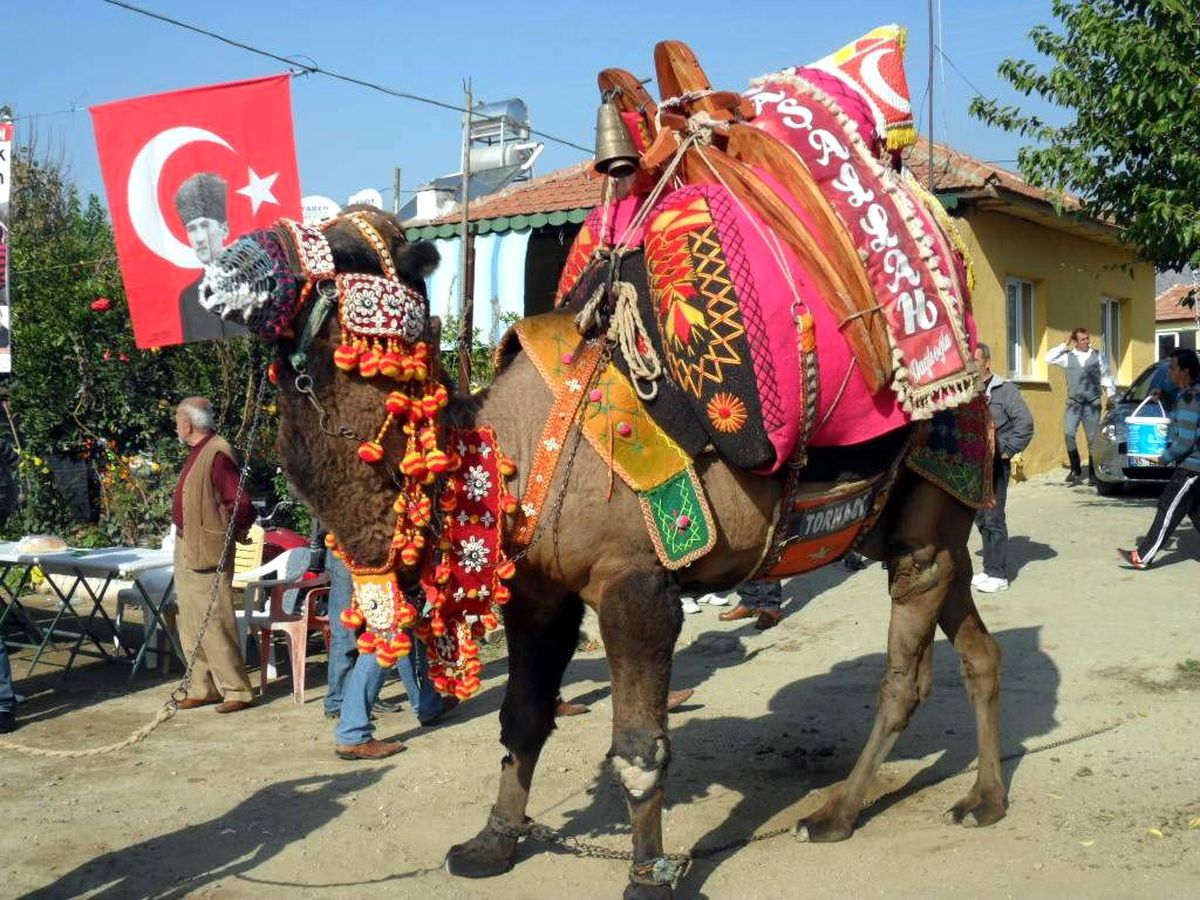 Pehlivan Develerden Sezon Öncesi Son Hazırlık