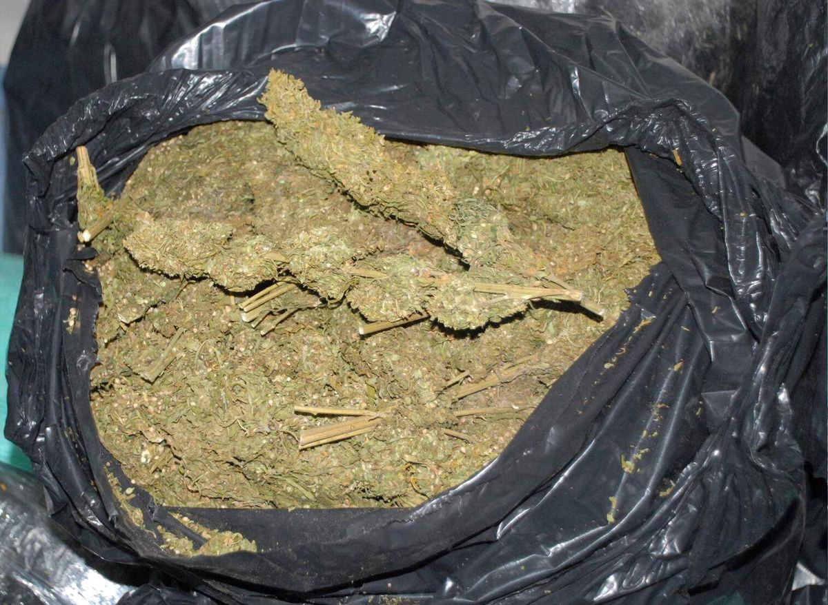 Siverek\'te 74 Kilo Esrar Ele Geçirildi