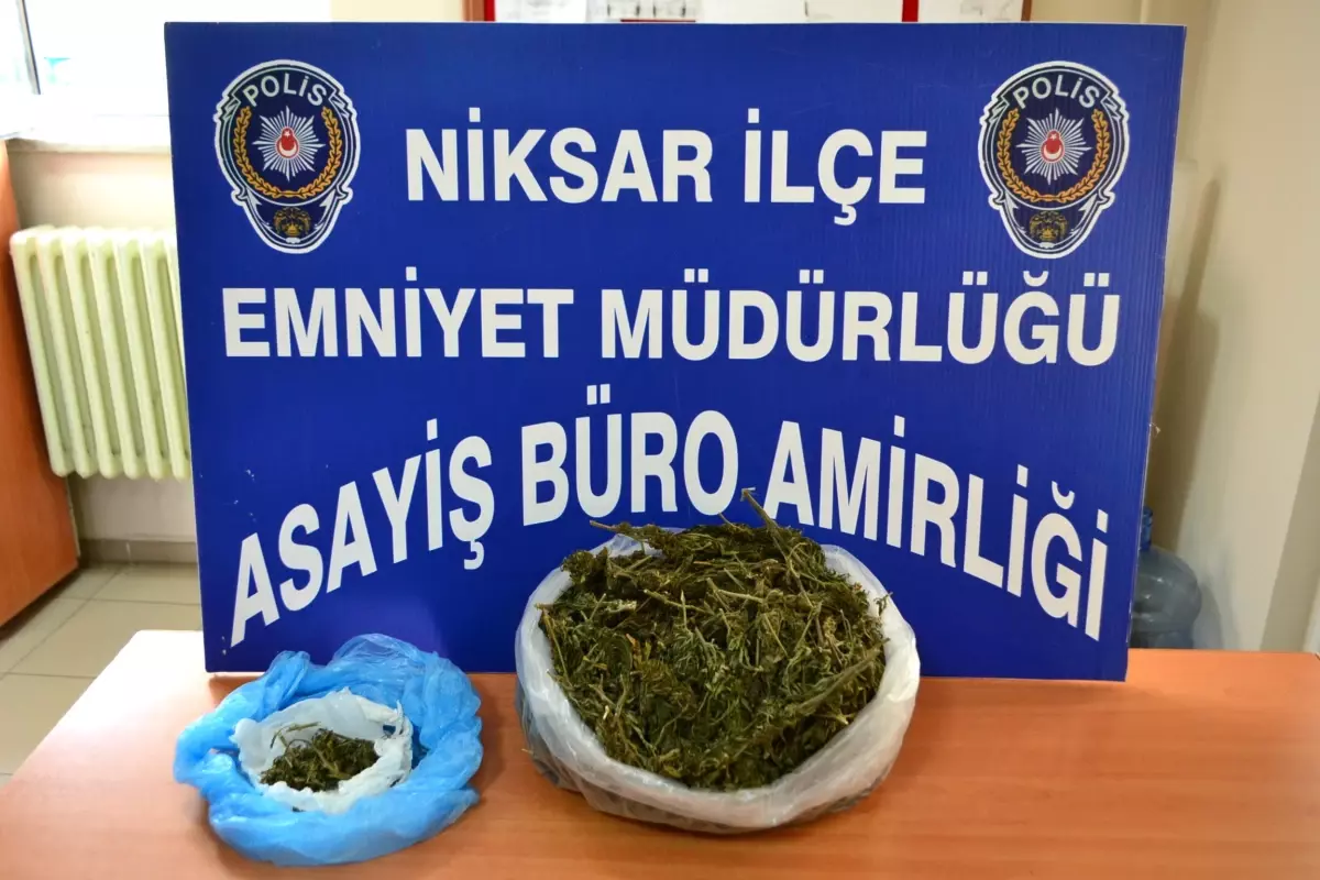 Tokat\'ta Esrar Operasyonuna 7 Tutuklama