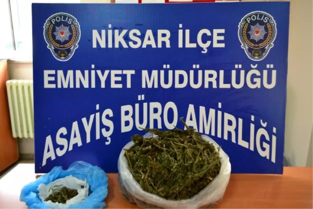 Tokat\'ta Uyuşturucu Operasyonunda 7 Kişi Tutuklandı