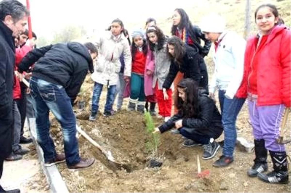 Ankara\'nın 25 İlçesinde Eş Zamanlı Fidan Dikim Töreni