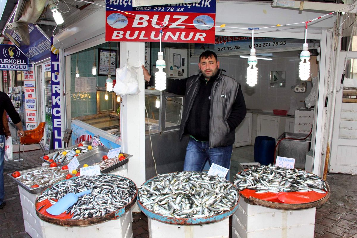 Hamsiye Rağbet Yok