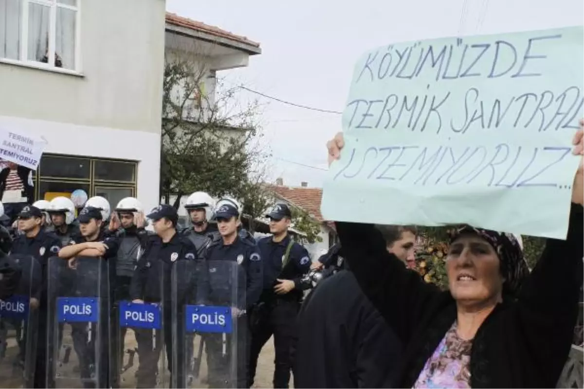 Longoz Ormanı\'na Termik Santral Başvurusunu Bakanlık Reddetti