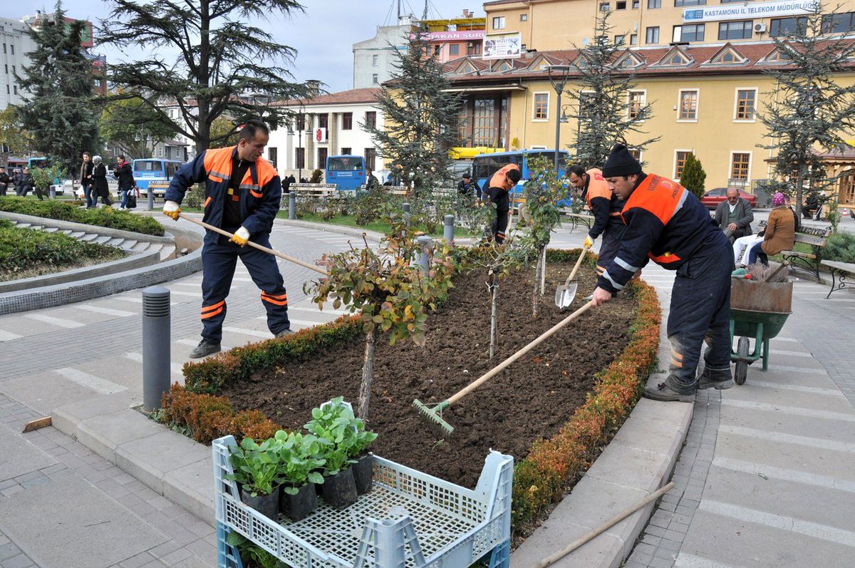 Park ve Bahçeler Müdürlüğü\'nden Kışlık Çiçek Dikimi