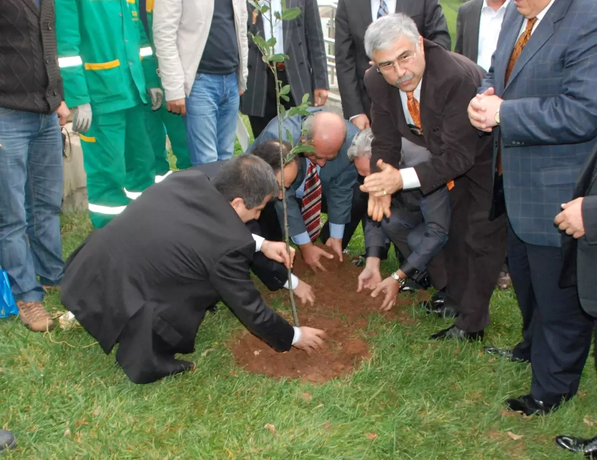 Baydemir Sümerpark\'ta \'Barış ve Sevgi Fidanları\' Dikti