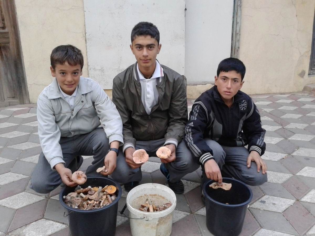 Havran\'da Dağdaki Mantarlar Öğrencilere Harçlık Oluyor