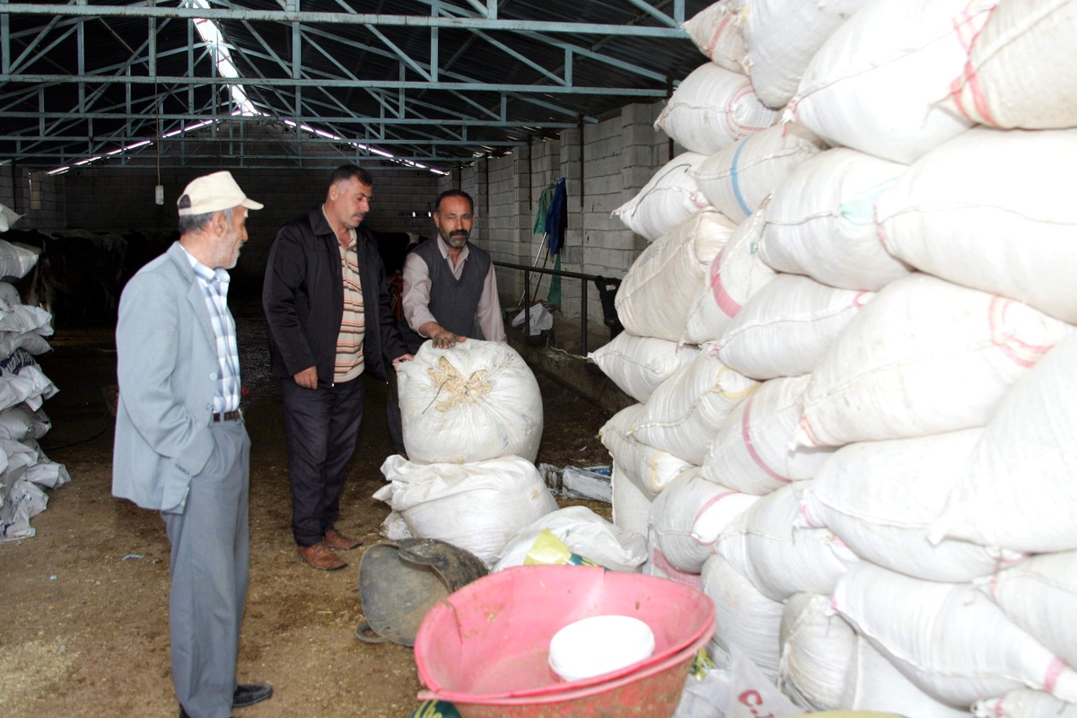 Zamlanan Yem Fiyatları Besicileri Vurdu