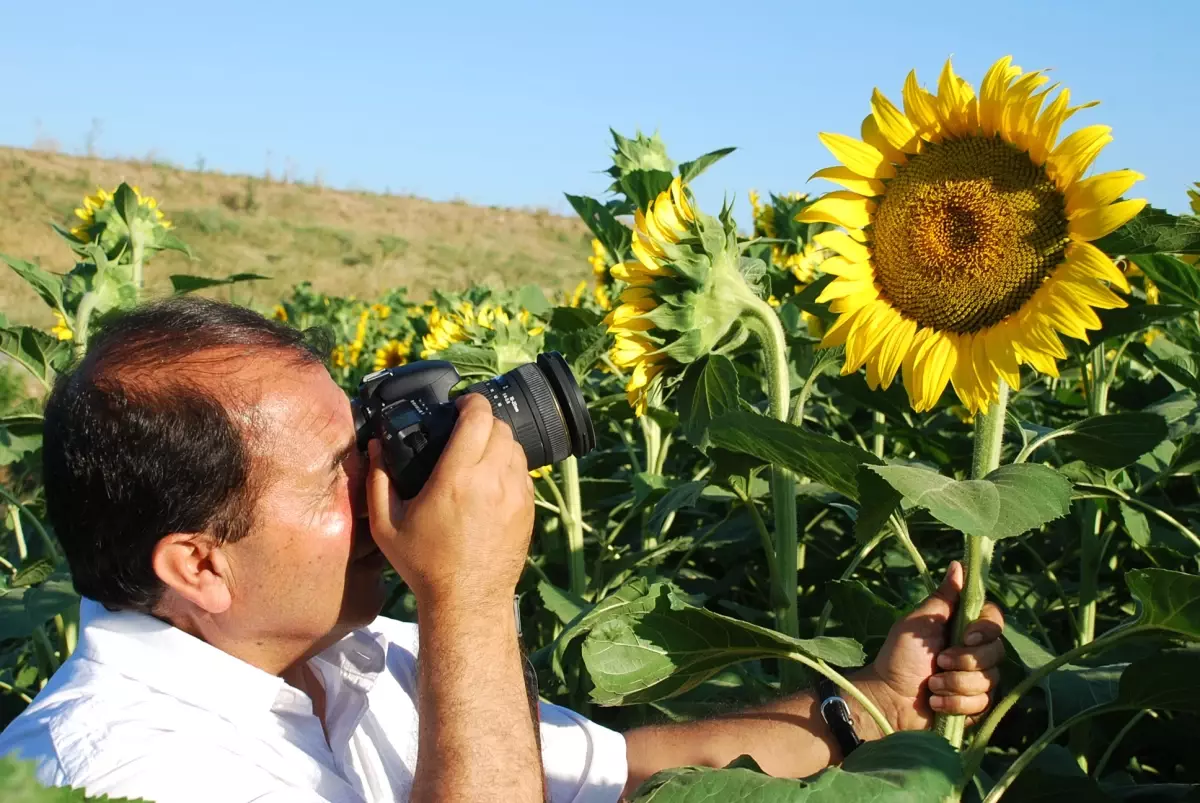 'Ayçiçeği Atölyesi' Sergiye Hazırlanıyor