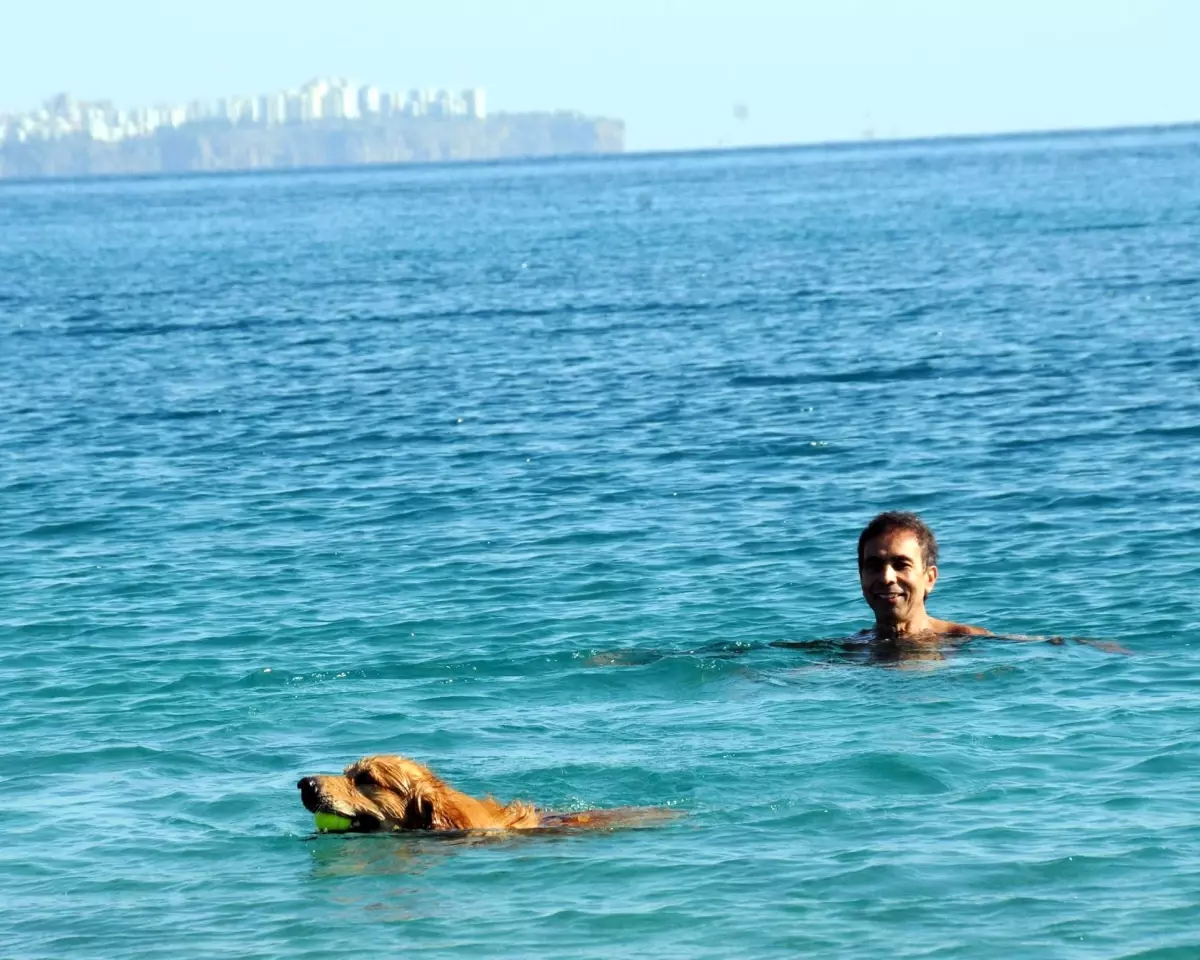 Kasım Ayında Deniz Başkadır