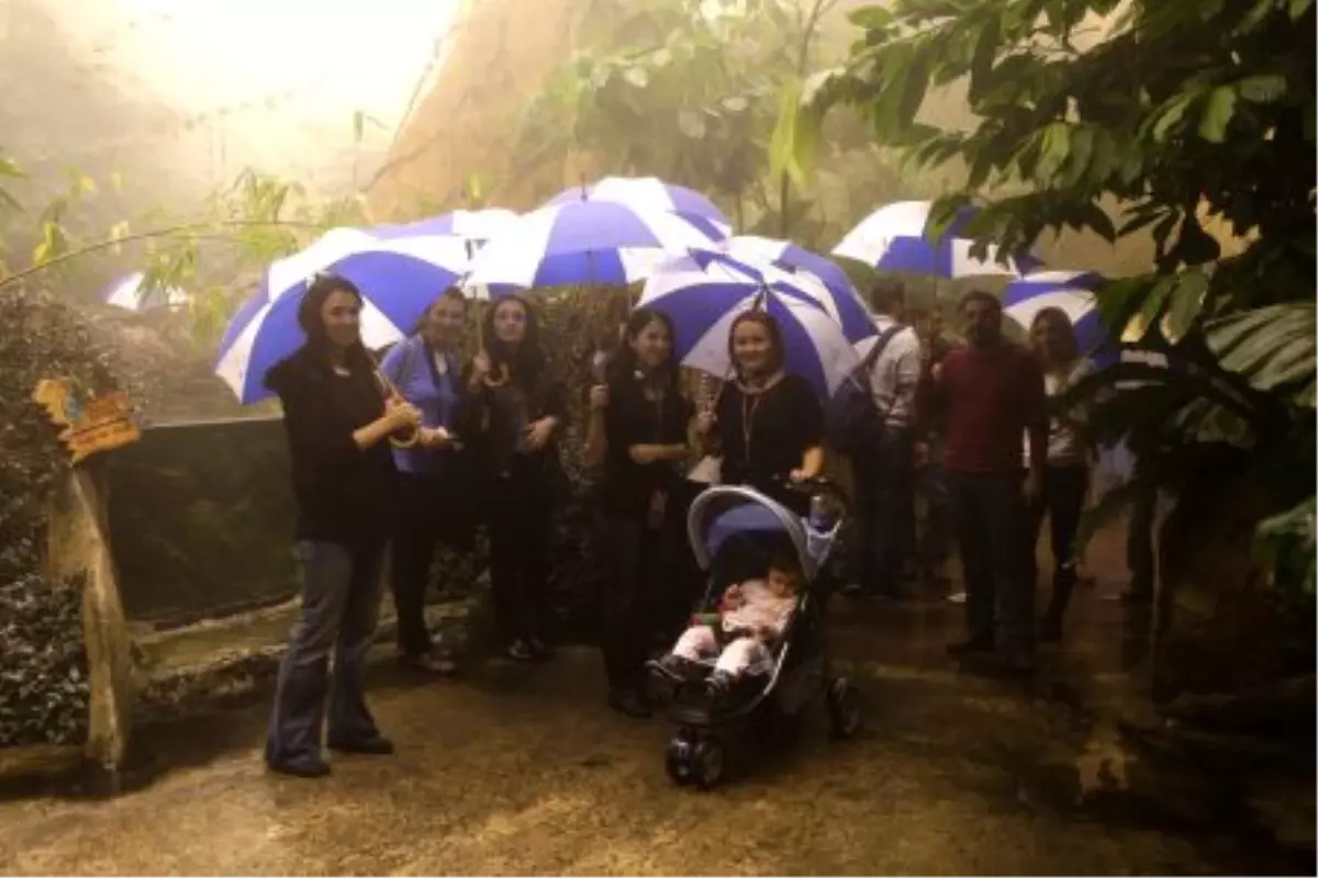 Öğretmenlere Amazonda Yağmur Keyfi