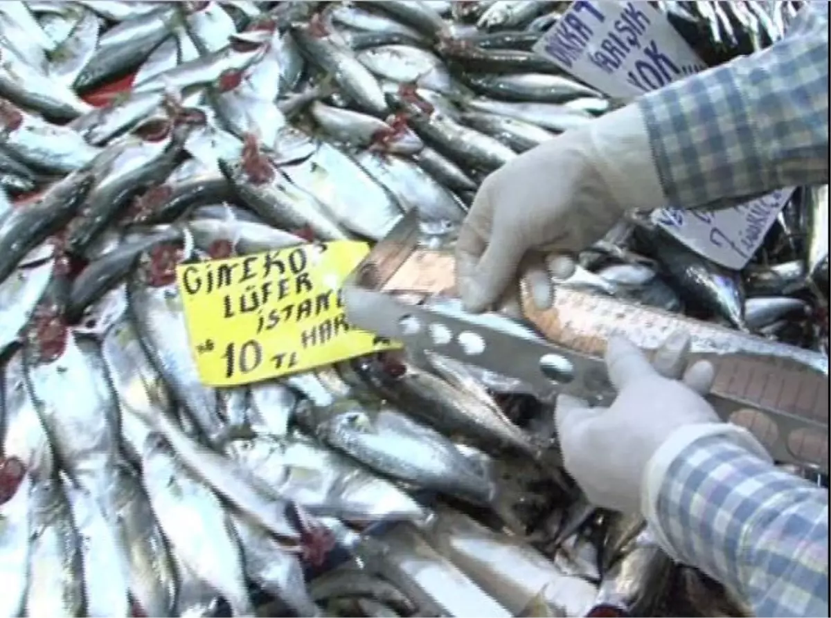 Çamkıran Pazarında Balık Kontrolü Yapıldı