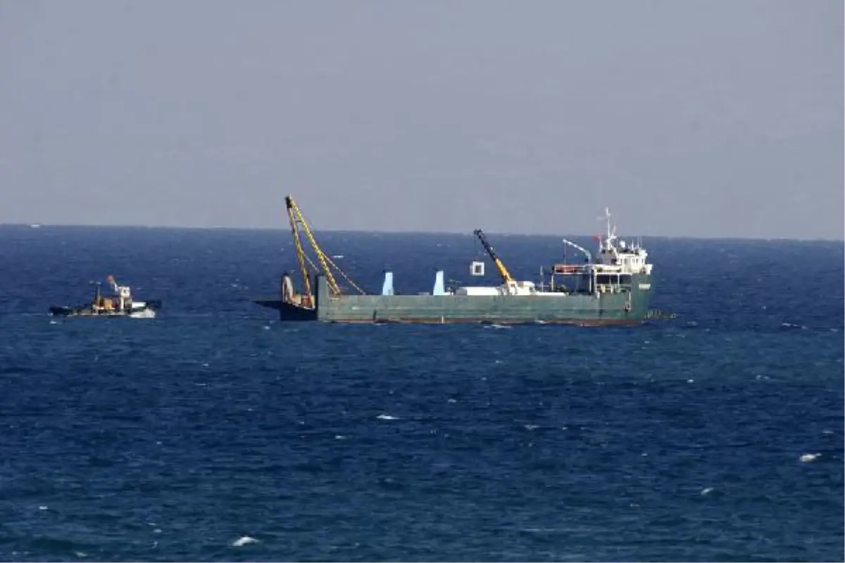 Balıklar Yapay Resifi Sevdi