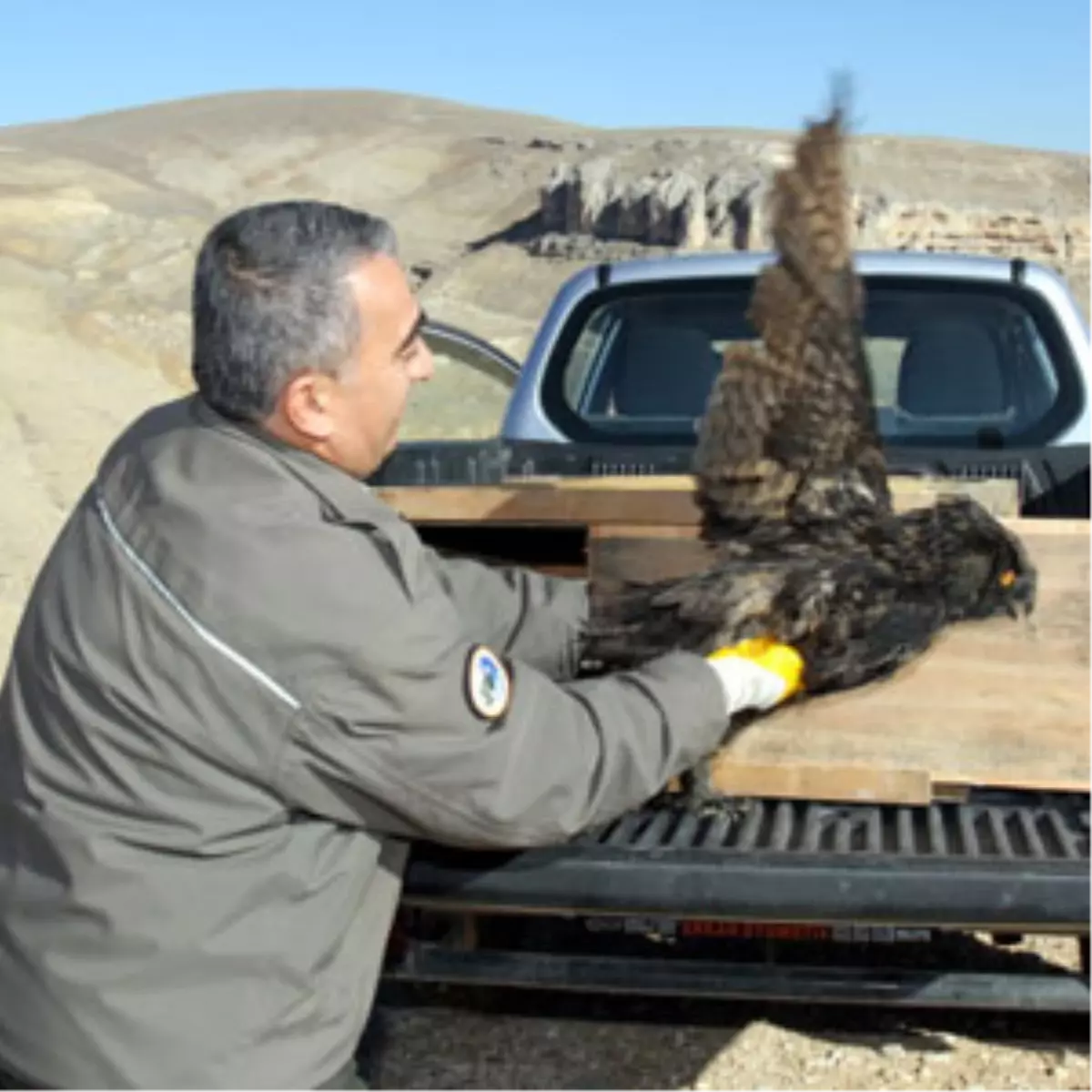 Okulun 'Kanatlı Misafirleri' Doğal Yaşamlarına Döndü