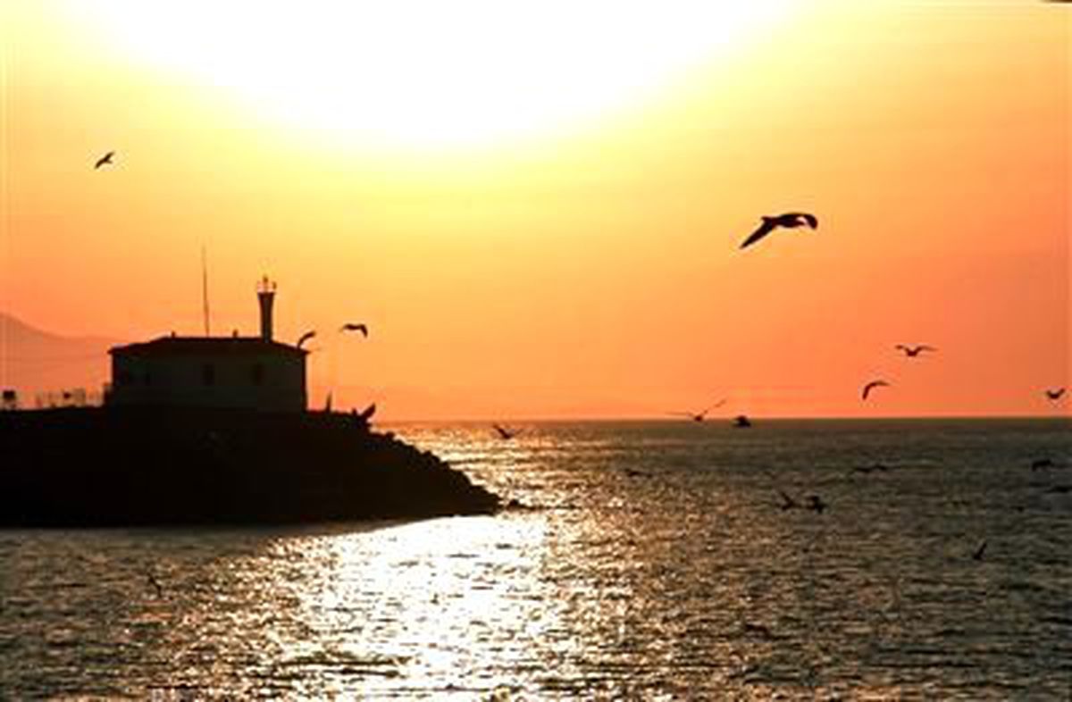 Türkiye\'nin Kıyı ve Koyları Temizleniyor