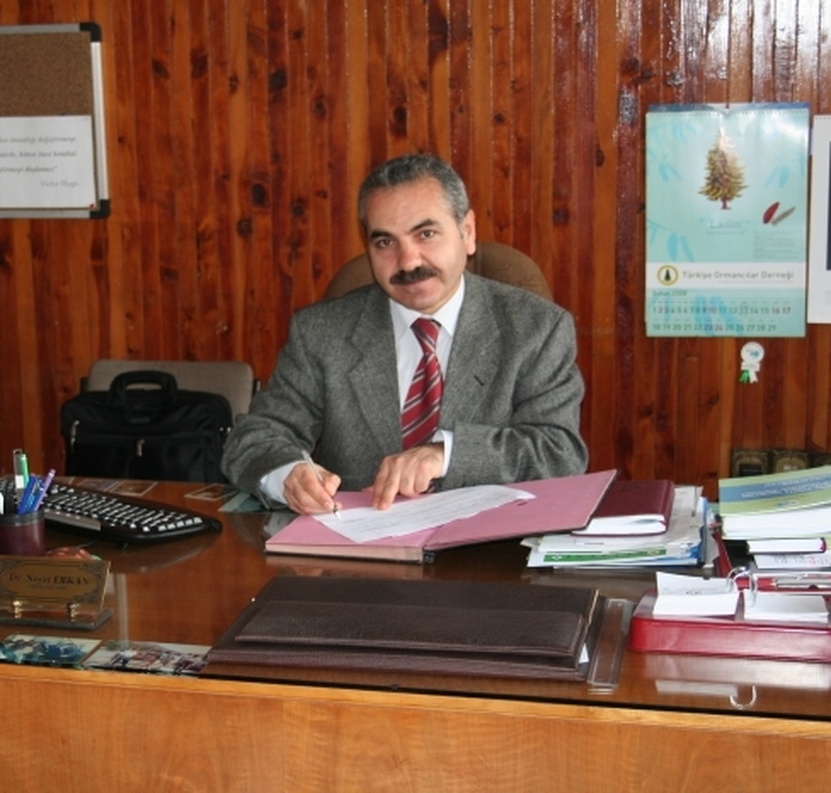 Ağaçların Kesim Dönemleri Araştırılacak