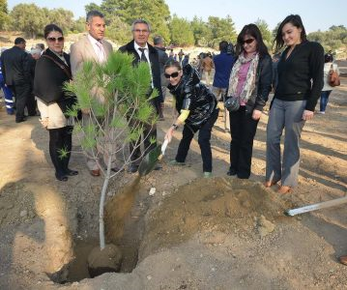 Büyükşehir\'den "Hatıra Ormanı"