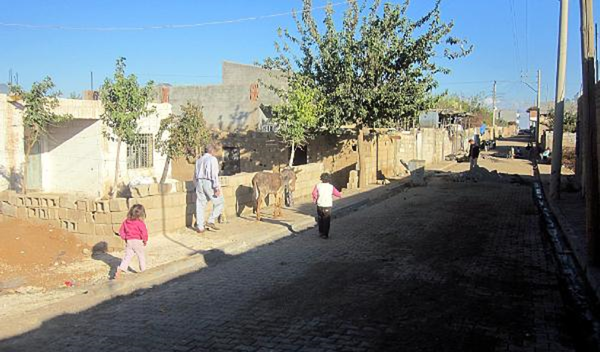 Çukura Düştü 3 Gün Sonra Kurtarıldı