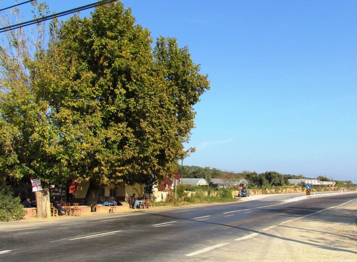 Elifli Köylüleri, Tarihi Çeşme ve Çınarın Duble Yoldan Korunmasını İstedi