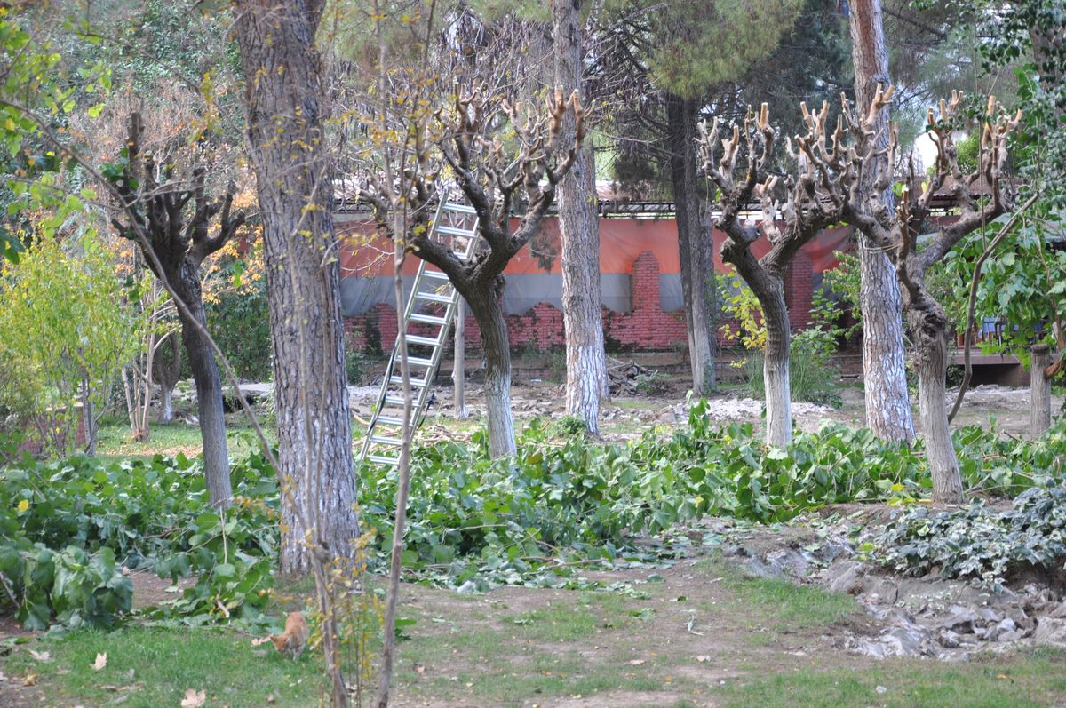 Soma Belediyesi, Koru Park\'ı Sil Baştan Yeniliyor