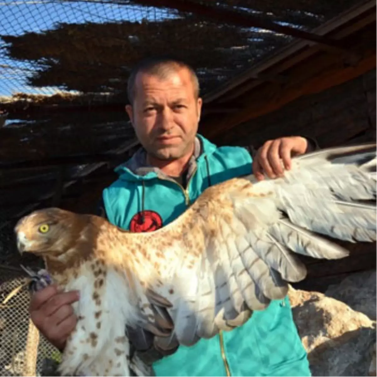 Yaralı Yılan Kartalı'nı Yaşatma Mücadelesi