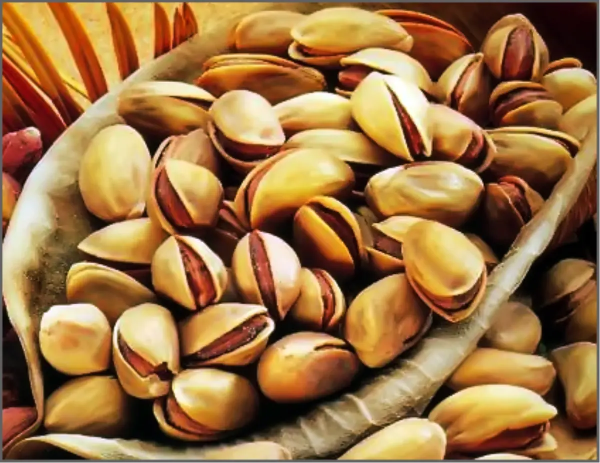 Gaziantep Ticaret Borsası