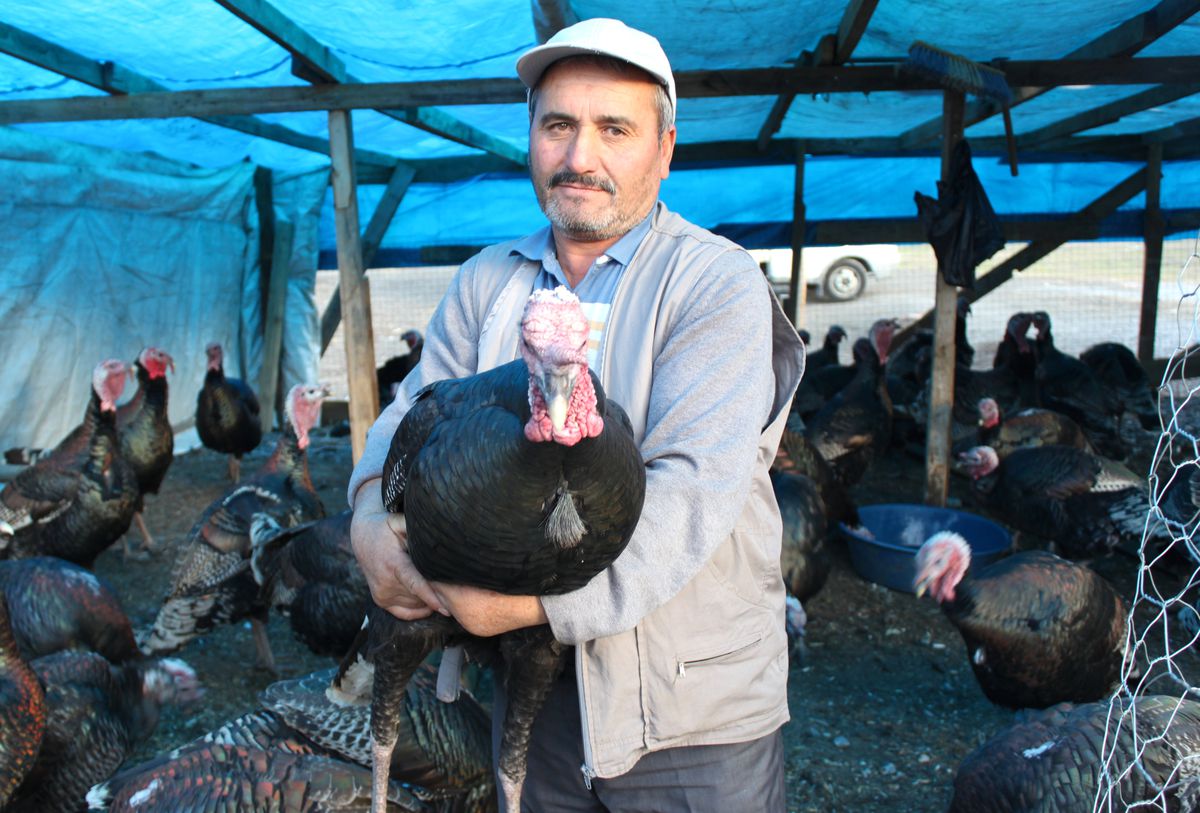 Hindiler Yılbaşına Hazır