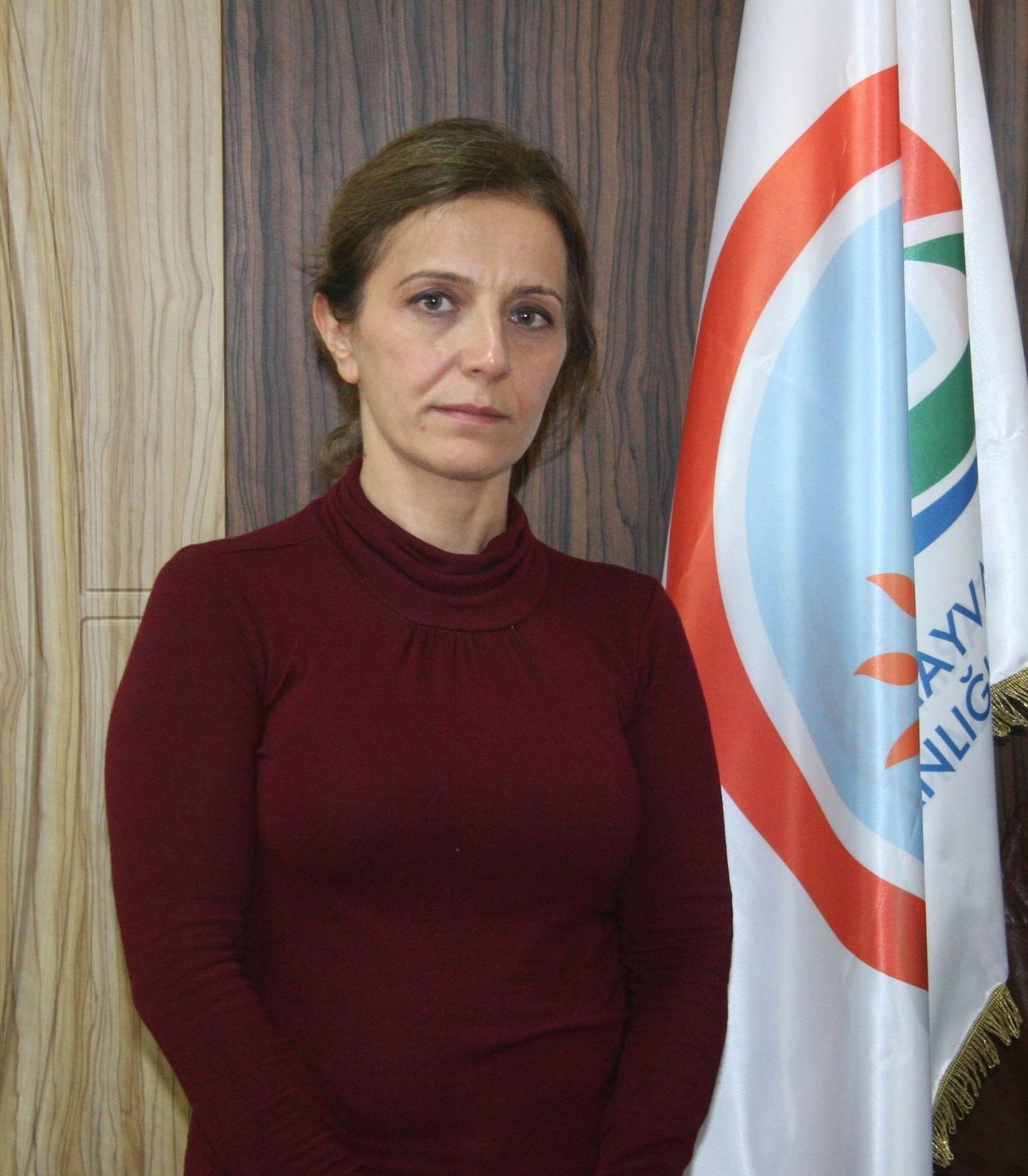 İvesi Irkı Koç Dağıtımı Yapıldı