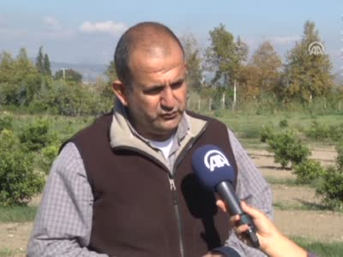 Kamkat Doğayı Evlere Taşıyor