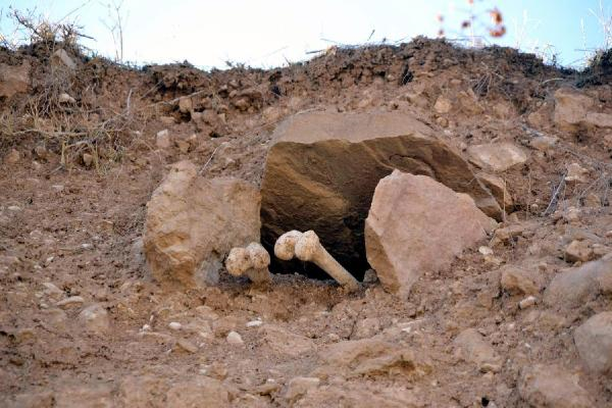 Siirt\'te Yol Yapımında, Eski Ermeni Mezarlığı Ortaya Çıktı