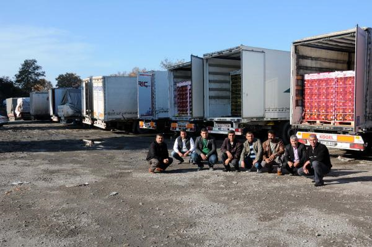 Zonguldak Limanı\'nda Bekleyen Tır\'lardaki Narenciyede Bozulma Tehlikesi