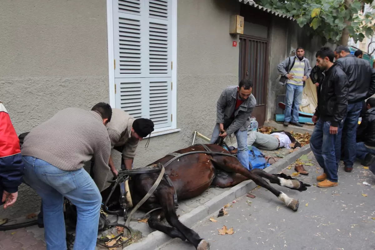 Büyükada\'da Fayton Kazası: Faytoncu Öldü, 4 Turist Yaralandı (2)