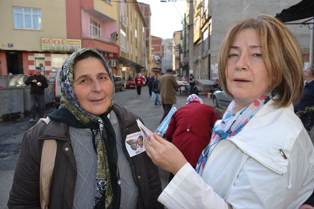 CHP\'li Kadınlar Kelebek Dağıttı