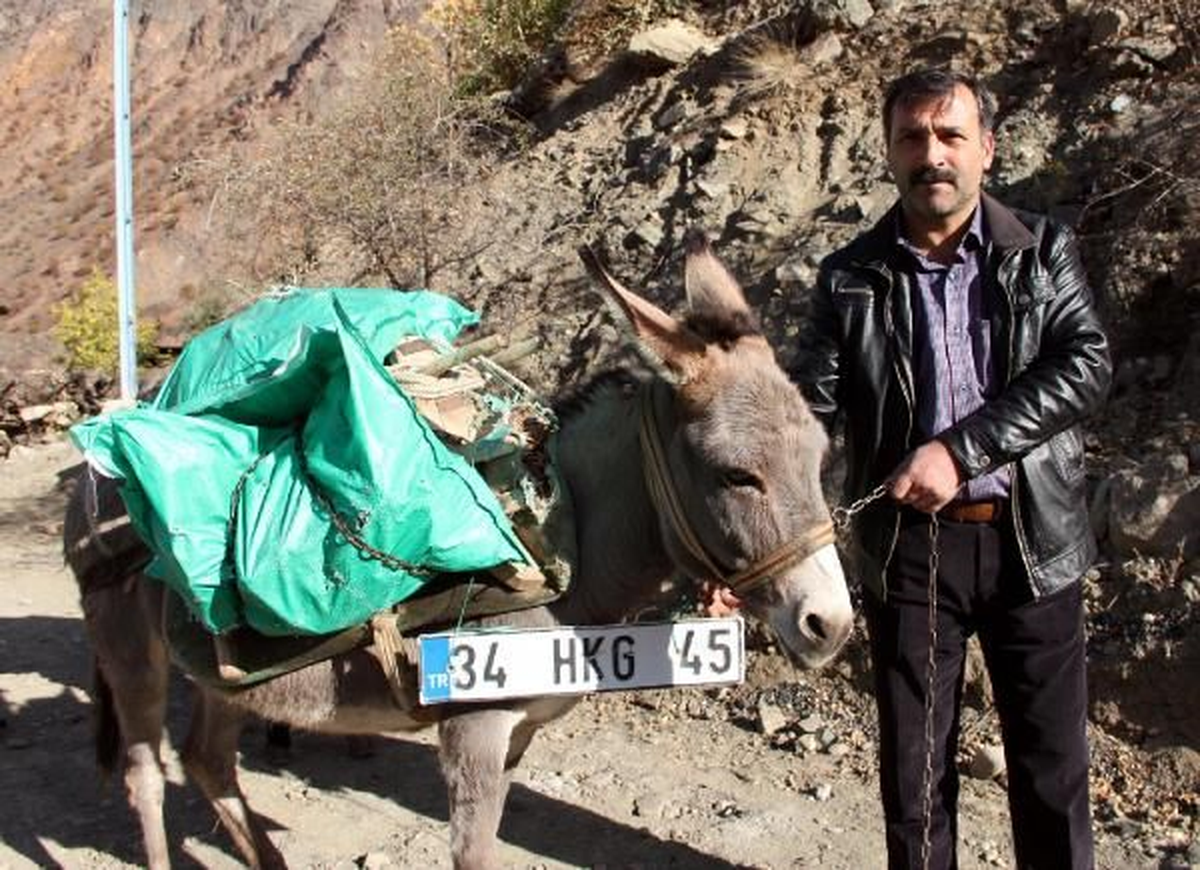 Erzurum Kasko Şirketini Protesto İçin Eşeğe Kamyonun Plakasını Taktı