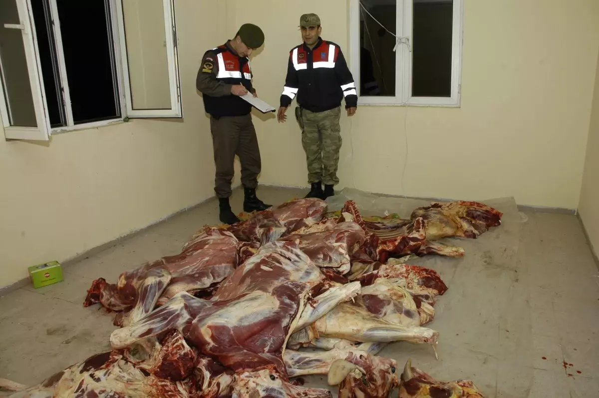 Kaçak Kesimhaneyi Jandarma Ortaya Çıkardı