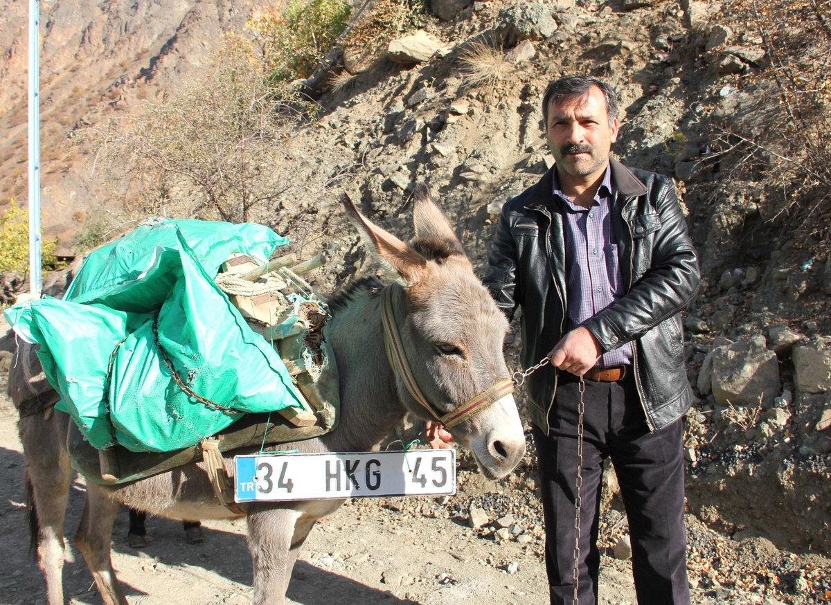Kasko Mağduru Nakliyatçı Eşeklerle Kömür Taşıyor